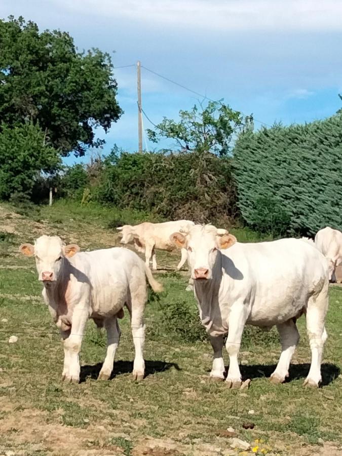 La Grange De Sabatas Hotell Chomérac Eksteriør bilde