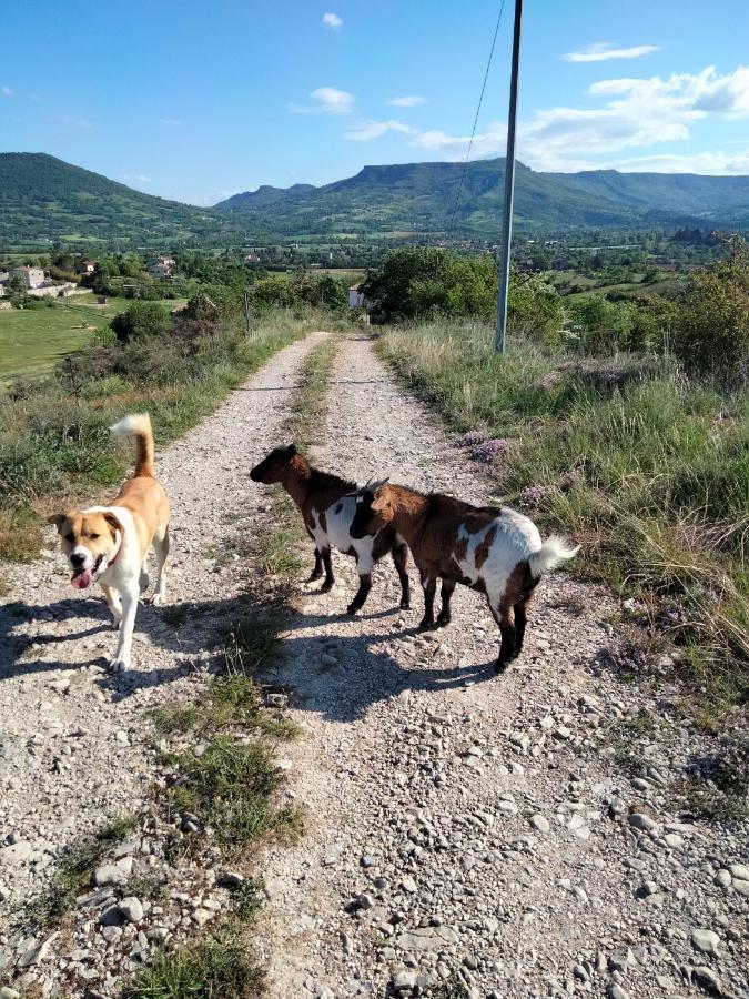 La Grange De Sabatas Hotell Chomérac Eksteriør bilde